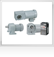 Gear Motor