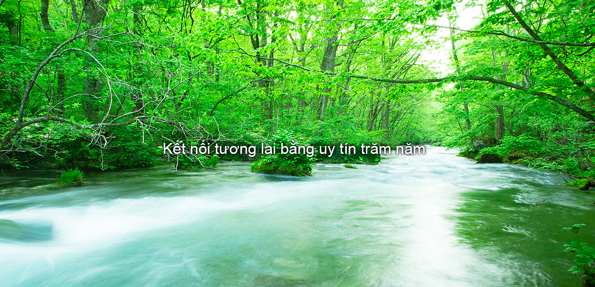 Kết nối tương lai bằng uy tín trăm năm